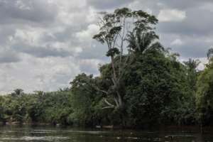 DR Congo is expected to drive home the message that it is a country that can provide solutions for climate change. By Guerchom Ndebo AFPFile