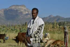Ethiopian farmer Alema Baraki, 52, on his land in Sebeya village on the frontier with Eritrea. A decades-long dispute over the border remains one of the outstanding problems in ties. By MICHAEL TEWELDE AFP