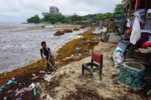 Fishermen say the dead seaweed has been destroying fishing nets and clogging boat engines. By Saidu BAH AFP