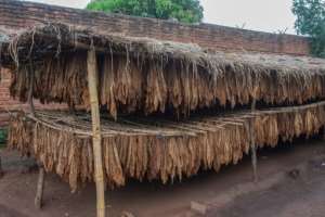 Malawi is one of the world's poorest countries but a major tobacco producer. By Amos Gumulira AFP