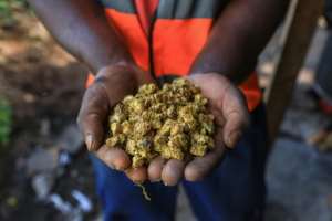 Once the substrate mixture is ready, it is sterilised, put in barrels and heated over a wood fire, then cooled and bagged up. By Daniel Beloumou Olomo AFP