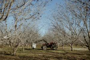 Orania was set up to preserve the 'culture' of the Afrikaners. By MARCO LONGARI AFP