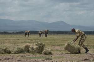 Park rangers are making efforts to help the animals, supplying hay for them to feed on. By Tony KARUMBA AFP