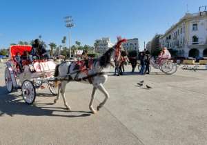 People ride a horse-pulled cart in the Libyan capital Tripoli, where some expressed a mix of frustration and anxiety at an announced delay to elections. By Mahmud TURKIA AFP