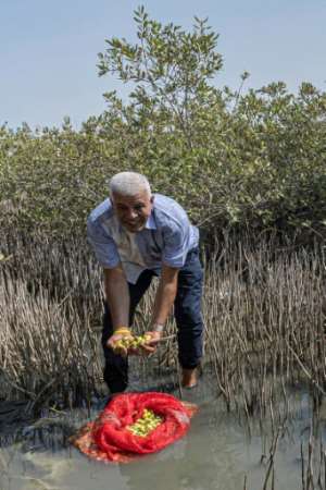 Sayed Khalifa heads the mangrove reforestation project, which aims to boost the coverage of the trees along the Red Sea coast. By Khaled DESOUKI AFP