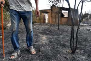 Strong winds accentuated the blazes. By - AFP