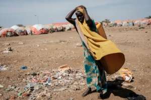 The drought has devastated crops and livestock in Somalia. By YASUYOSHI CHIBA AFPFile