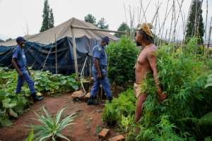The group's tarpaulin tents have been a fixture on the emerald lawns of the South African president's office since 2018. By Phill Magakoe AFP