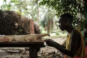 The Living Museum of Bujumbura is an intriguing cross between a craft market, artists' workshop and a zoo. By Yasuyoshi Chiba AFP