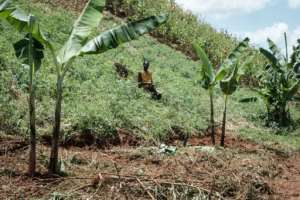 The remains of nearly 20,000 victims have been exhumed across Burundi, many graves have never been found. By Yasuyoshi CHIBA AFP