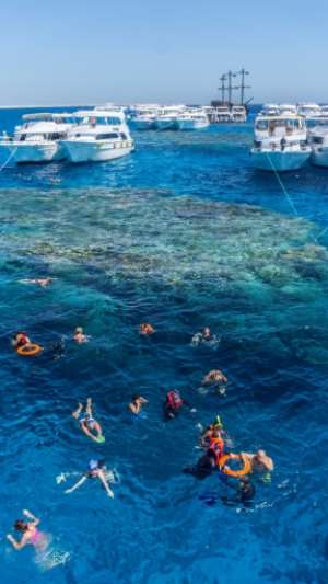 Tourists snorkel in the Red Sea above a coral reef near Egypt's Red Sea resort city of Sharm El-Sheikh at the southern tip of the Sinai peninsula. By Khaled DESOUKI AFP