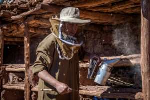 Villagers have set up an association to restore the structure, as well as planting herbs for the bees that are better able to tolerate hot and arid conditions. By FADEL SENNA AFP