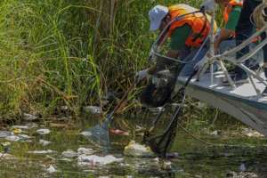 Volunteers collecting garbage from the Nile in Cairo on September 29, 2022. By Khaled DESOUKI AFPFile