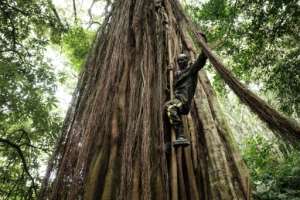 With very few visitors so far, tourist facilities are in short supply, except in Bujumbura.. By Yasuyoshi Chiba AFP