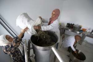 Women work in a cooperative for the production of essential oils from wild plants. By FETHI BELAID AFP
