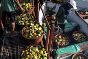 Workers with Humane Society International load their boats twice a day with food for the chimps. By JOHN WESSELS AFP
