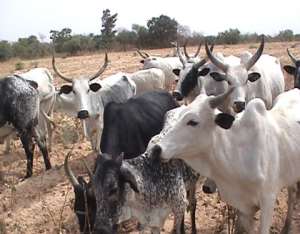 BA Police Urges Residents To Be Calm On Fulani Issues