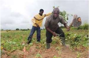 Limitations To Modernising Agricultural Growth In Ghana