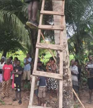E/R: Man takes his own life on coconut tree