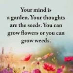 Buddha Teaches Manyoro: What You Think, You Become -The Mind Is Everything