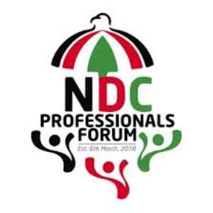 NDC Professionals Forum International Chapter Kick Against Ropal Office At Jubilee House