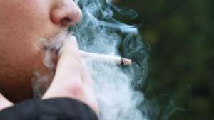Most smokers are often not aware of how tobacco is cultivated