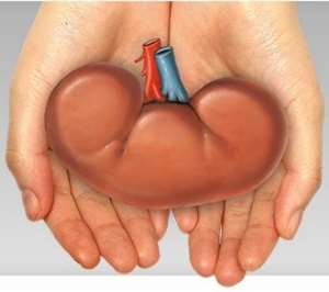 Childs Organs Save Life Of 60year Old Man At Aster CMI Hospital