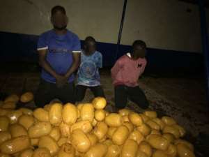 Police arrest four over 142 parcels of suspected Indian hemp, allegedly reject GH¢50,000 bribe