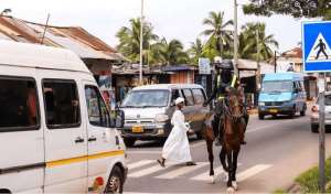 Photos Ghana Police go to town with highly trained dogs, horse patrols