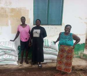Rice farmers in Afadzato South commend govt for seed support, appeal for fertilizer