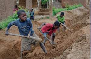 Child labour rising in Ghana and Ivory Coasts cocoa farms – Study finds