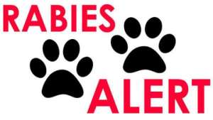 Organisations And Individuals Urged To Join In Fight Against Rabies