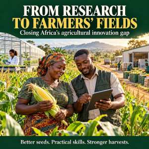 From Research Stations to Farmers’ Fields: Africa Must Close Its Agricultural Innovation Gap