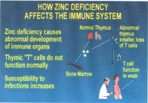 ZINC, You May Be At Risk For Zinc Deficiency