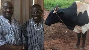 Be strong — Isaac Adongo consoles Bawumia with a cow for mother's funeral rites on Sunday