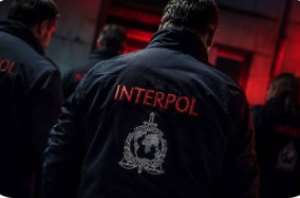 Interpols Serengeti III: Africas Cybercrime Fight Gets Bigger, and Harder