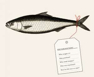 Is there such a thing as a moral catch?