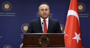 Turkey, Germany Deepens Diplomatic Ties After Activists' Release