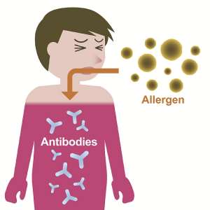 Allergies: How Well Do You Know Yourself And What You Are Allergic To?