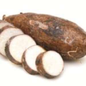 Trying to Conceive: Cassava, Fertility, and Twins