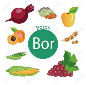 Boron and Prostate Health: The Mounting Evidence!