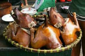 Veterinary Officer warns Dagaabas and Frafras against eating unvaccinated dogs