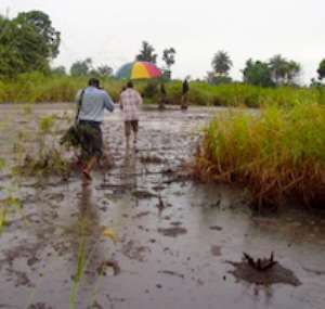 Environmental damage in the Niger Delta. Credit:Dulue MbachuIRIN