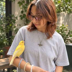 The Canary: From Habitat to Husbandry