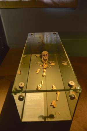 The skeletal remains of Lucy, a 3.2 million-year-old hominid discovered in Ethiopia in 1974 are displayed in the National Museum of Ethiopia in Addis Ababa