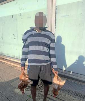 A witness exposed the chicken thief, before he could disappear by tram