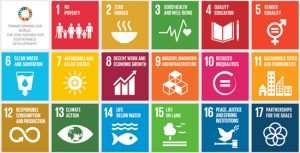 Chief Of Staff Confident About SDG Targets