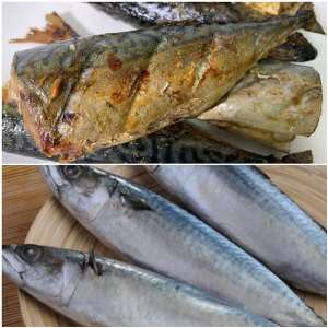 Salmon Reduces Heart Disease Risk and Improves Brain Health