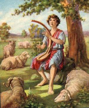 Poetry: The Church Needs To Shepherd Even The Hurt Sheep