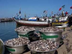 Depletion Of Fish Stock In The Sea A Major Concern